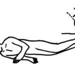 半側臥位（はんそくがい） とは　臥床・体位の解説・イラスト図