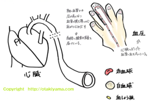 屈曲側臥位 くっきょくそくがい とは 臥床 体位の解説 イラスト図 介護看護リハビリのフリー素材集