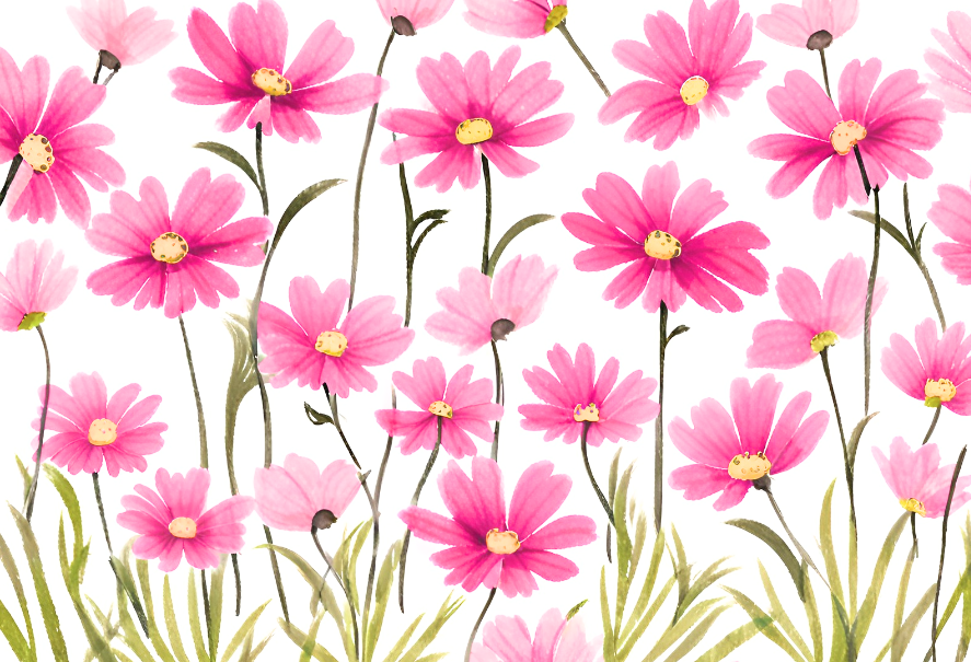 コスモスの花のイラスト・フリー素材