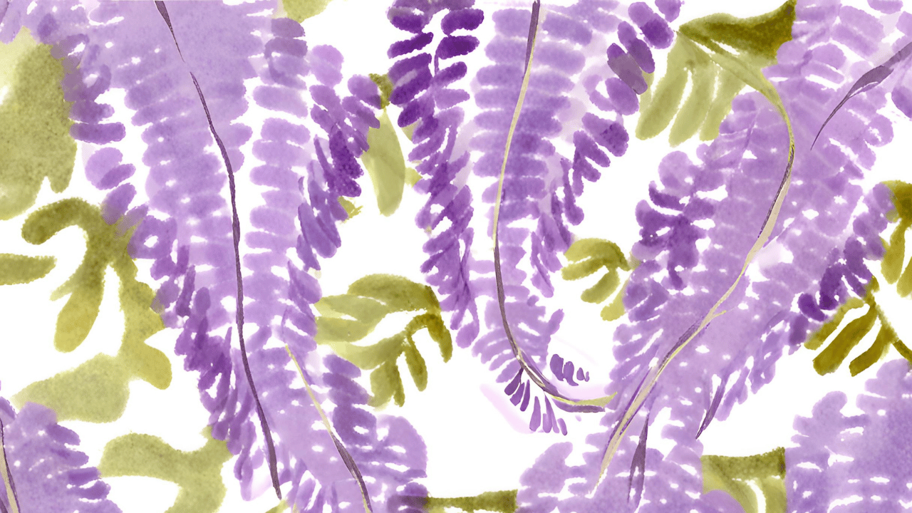 藤の花のイラストフリー素材｜5月