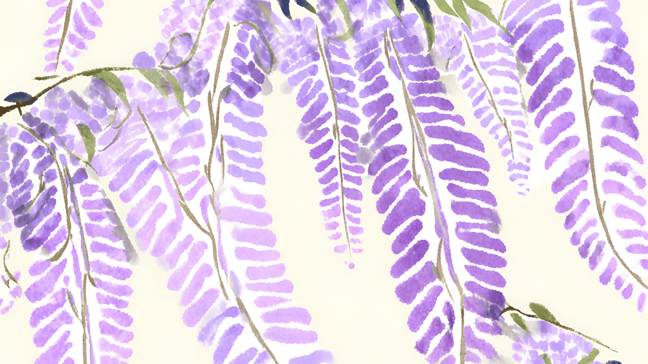 藤の花のイラストフリー素材｜5月