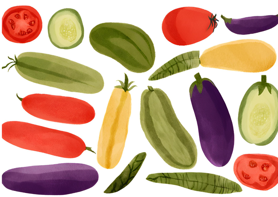 夏野菜のイラスト