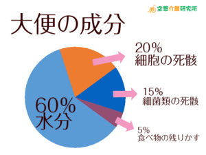 大便(うんち・うんこ)の正常な色、太さ、成分 平均排便量