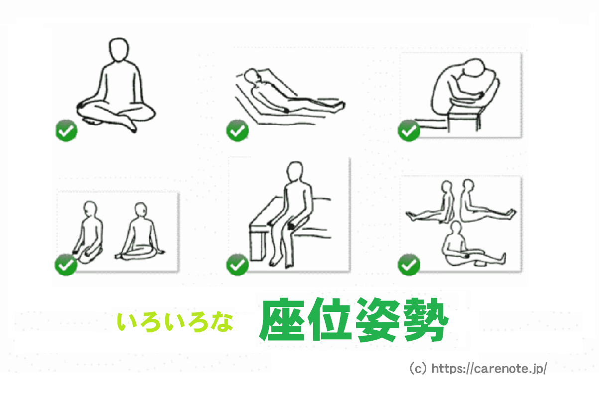 座位姿勢　５種類の座り方の専門用語をイラスト・動画で解説