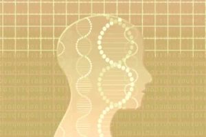 感覚・知覚・認知の意味の違いと種類 神経の伝わり方と脳処理