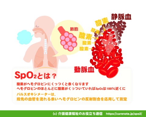 SpO2とは　パルスオキシメーターで測定する仕組み