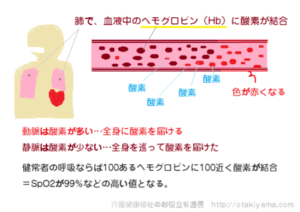 SpO2(酸素飽和度、サチュレーション)の測定・パルスオキシメーターの仕組み
