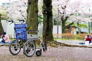 春から初夏の介護ケア 変化の季節4月のポイント【薬剤師監修】