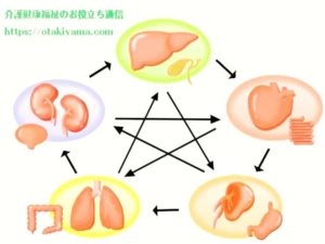 五臓六腑(ごぞうろっぷ) 漢方薬 の考え方