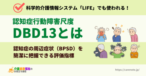 認知症行動障害尺度  DBD13とは 周辺症状(BPSD)の評価基準
