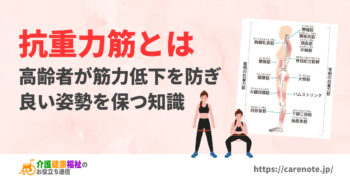 抗重力筋とは 高齢者が筋力低下を防ぎ良い立位姿勢を保つ知識