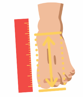 足長（靴のサイズ）