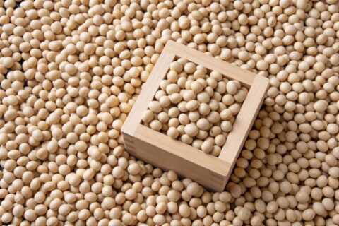 きな粉の主成分としての大豆