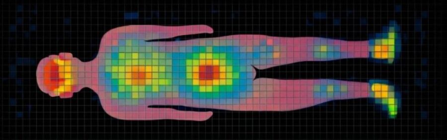 背臥位での耐圧分散の状態を表した図
