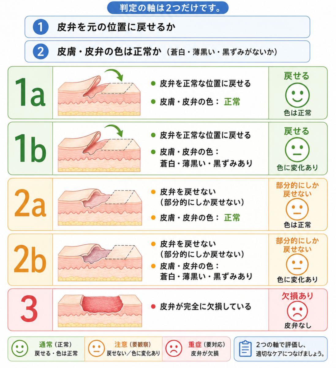 STAR分類（スキンテアの評価・判定表）