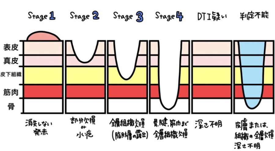 NPIAP/EPUAP分類の6区分