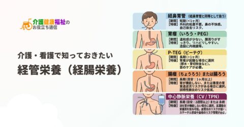胃ろう（ペグ）・経鼻胃管栄養・中心静脈栄養の違いと注意点