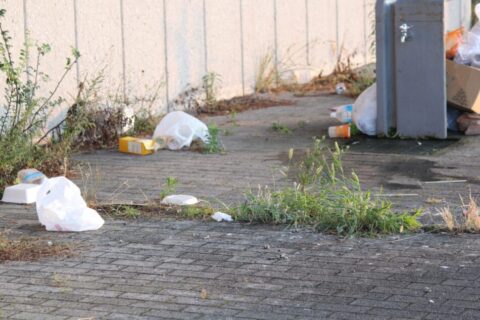 強さや品格を保つ努力をした日本から弱者が得する今になった理由